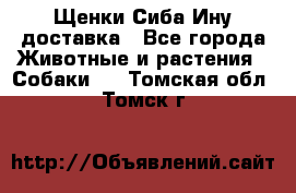 Щенки Сиба Ину доставка - Все города Животные и растения » Собаки   . Томская обл.,Томск г.